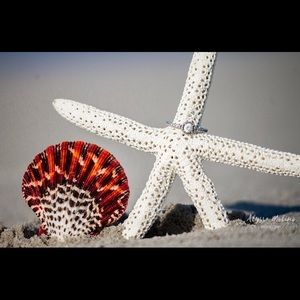 Meet your Posher, Alexandra